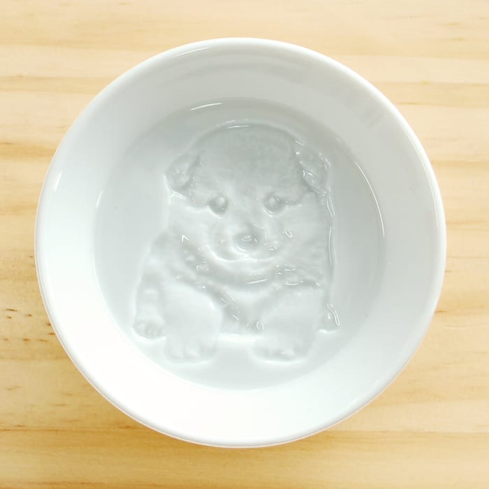 子犬（柴犬）の醤油皿/木箱入り2枚セット
